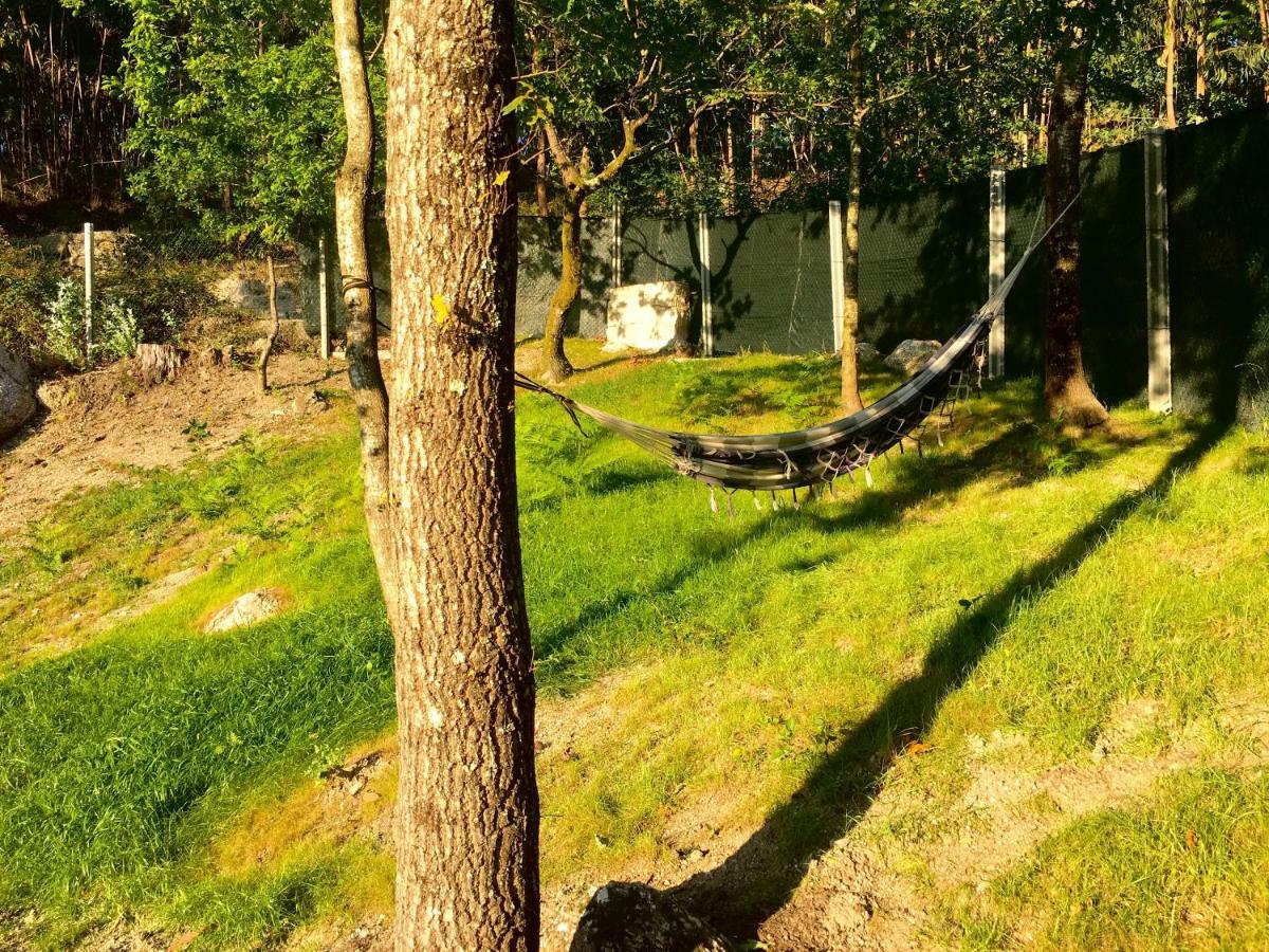 The Green Roof House Виейра-ду-Минью Экстерьер фото